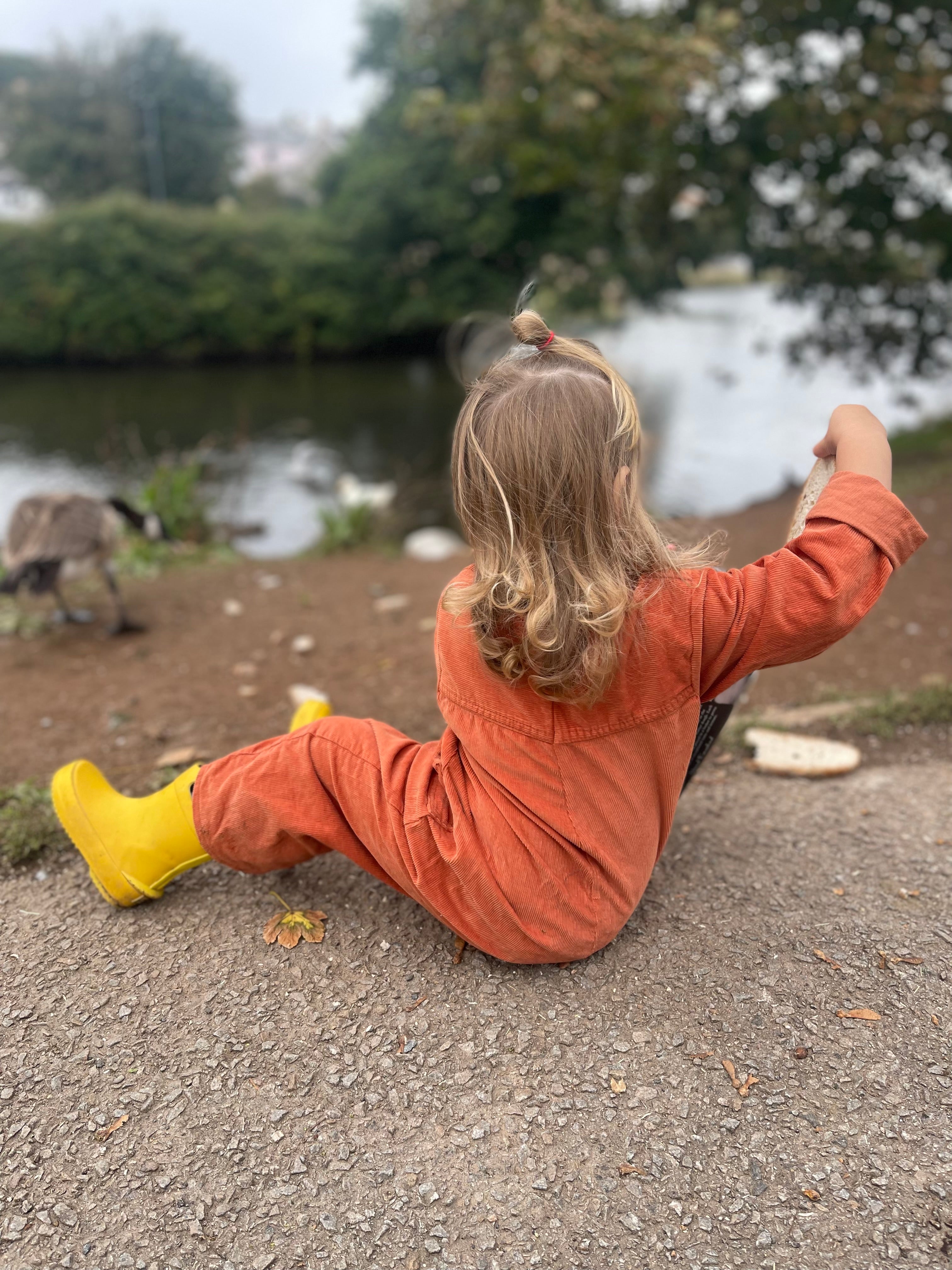 The Birchwood Boilersuit